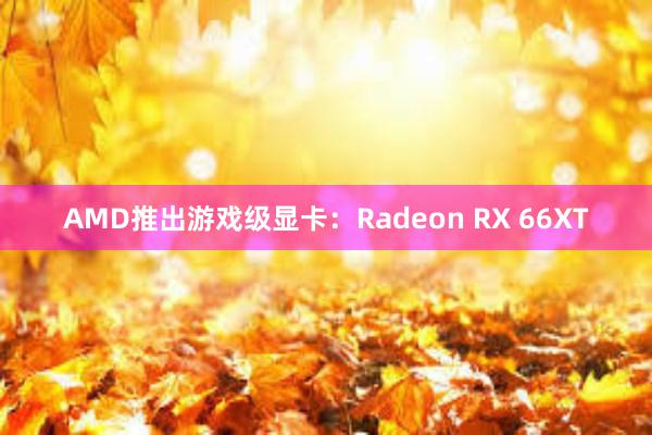 AMD推出游戏级显卡：Radeon RX 66XT